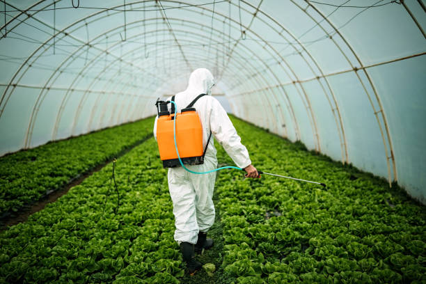 Best Pest Removal Services  in Golden Meadow, LA