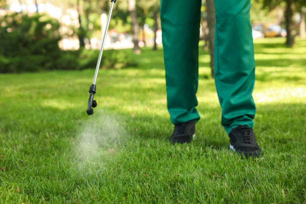 Best Cockroach Control Services  in Golden Meadow, LA