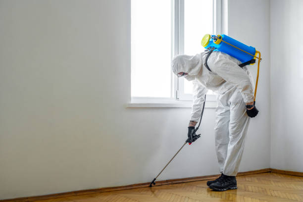 Wasp Removal Services in Golden Meadow, LA