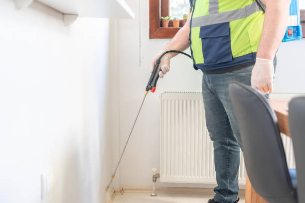 Best Wasp Removal Services  in Golden Meadow, LA