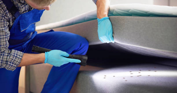 Best Emergency Pest Control  in Golden Meadow, LA