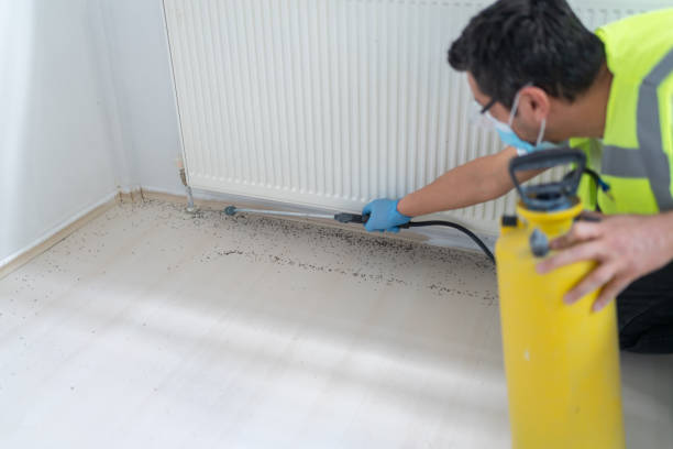 Best Affordable Pest Control Services  in Golden Meadow, LA